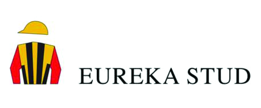 Eureka Stud
