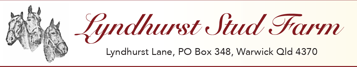 Lyndhurst Stud