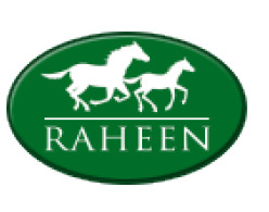 Raheen Stud