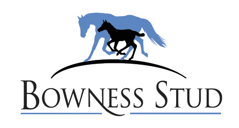 Bowness Stud