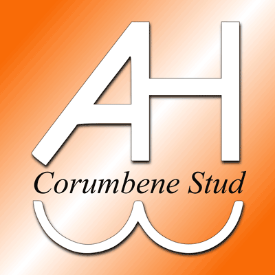 Corumbene Stud